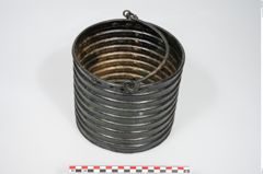 Foto von Bronzerippenziste (NHMW-PRAE-025670)